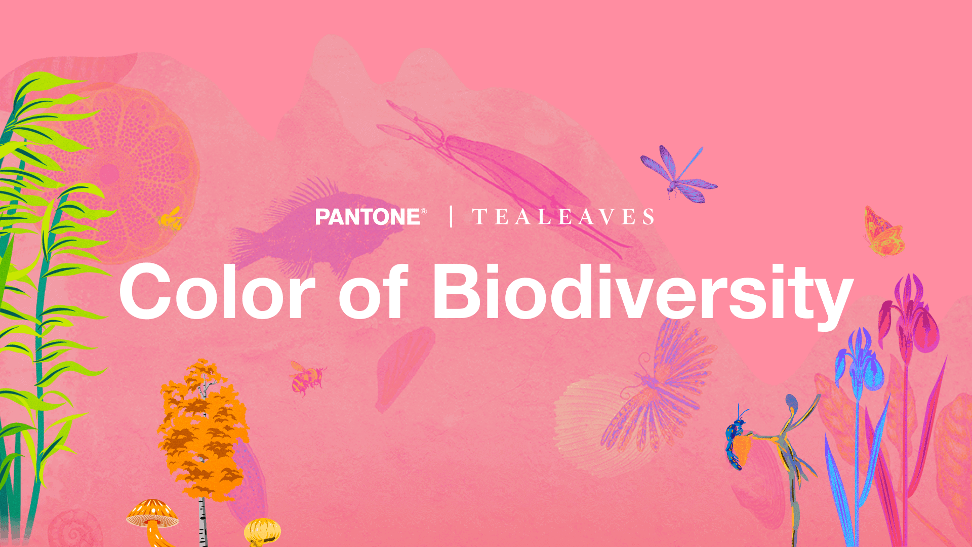 PANTONE biodiversity