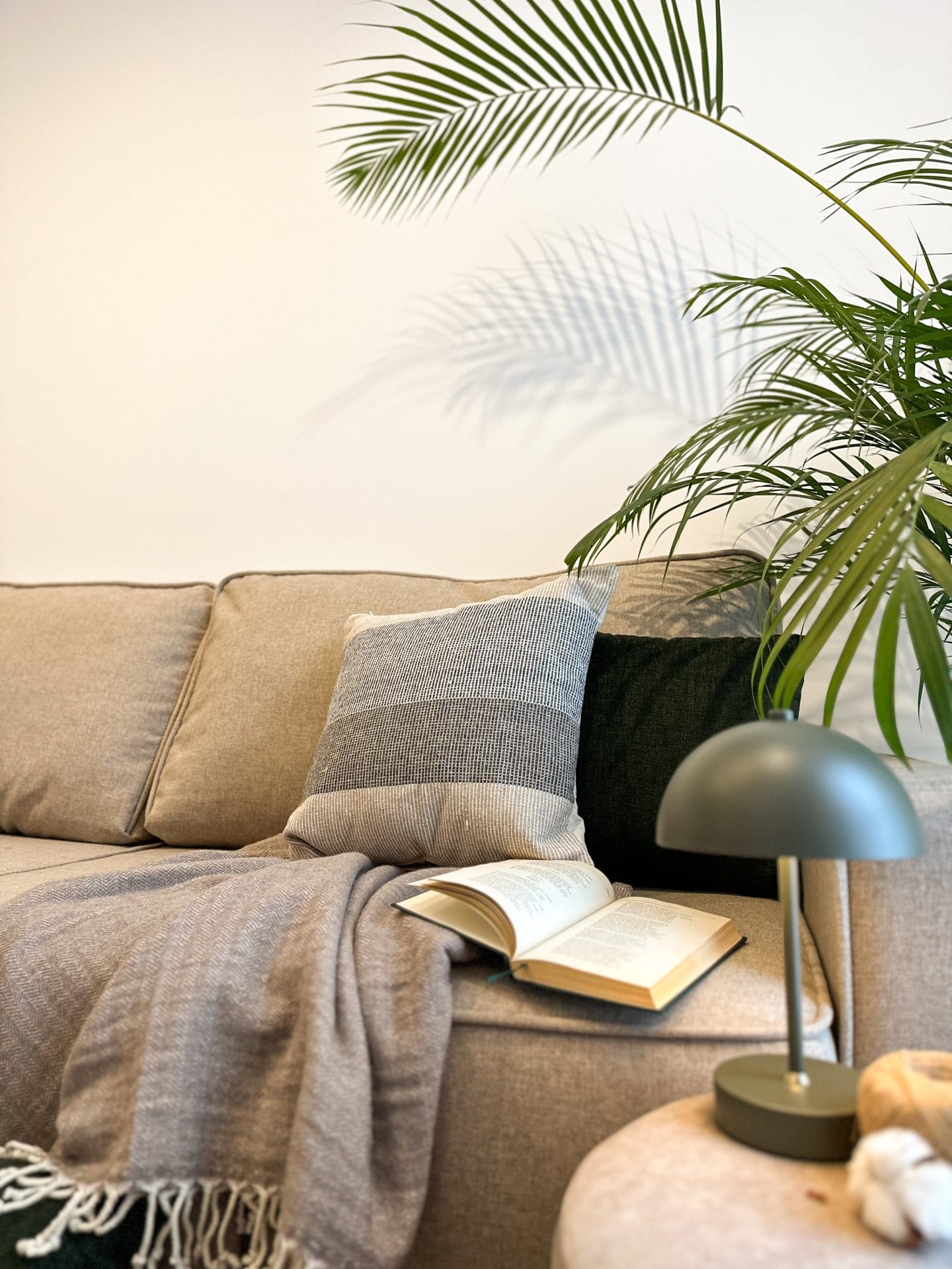 Design Interior APARTAMENT V 20